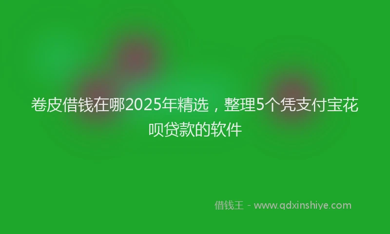 卷皮借钱在哪2025年精选，整理5个凭支付宝花呗贷款的软件