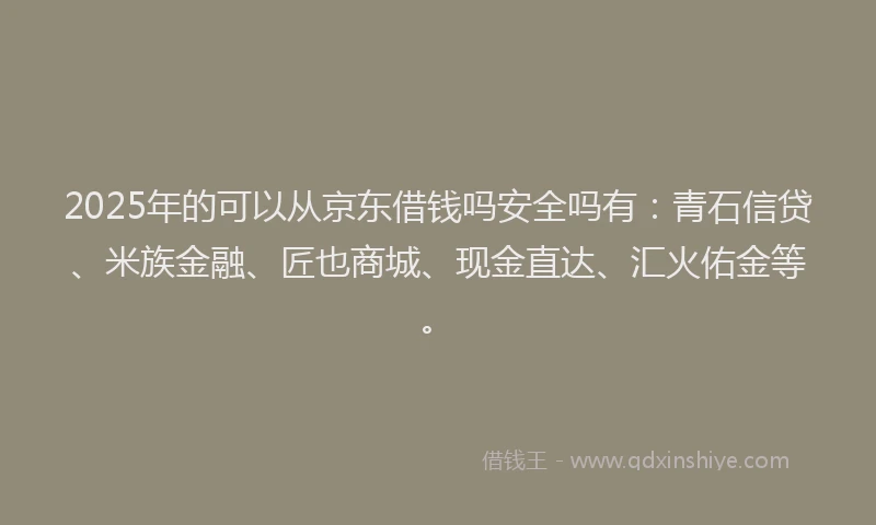2025年的可以从京东借钱吗安全吗有：青石信贷、米族金融、匠也商城、现金直达、汇火佑金等。