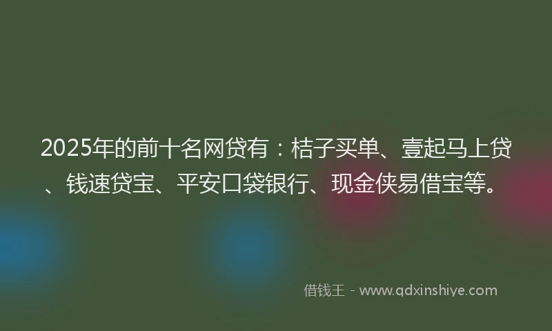 2025年的前十名网贷有：桔子买单、壹起马上贷、钱速贷宝、平安口袋银行、现金侠易借宝等。