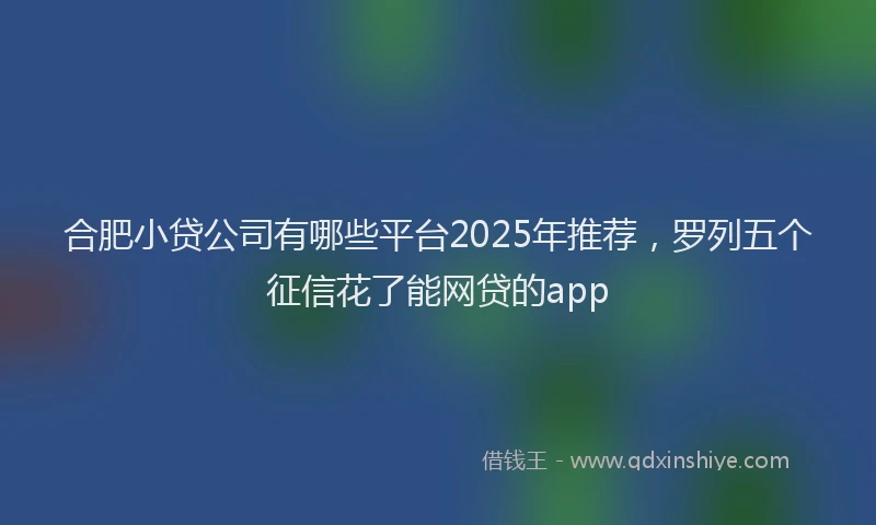 合肥小贷公司有哪些平台2025年推荐，罗列五个征信花了能网贷的app