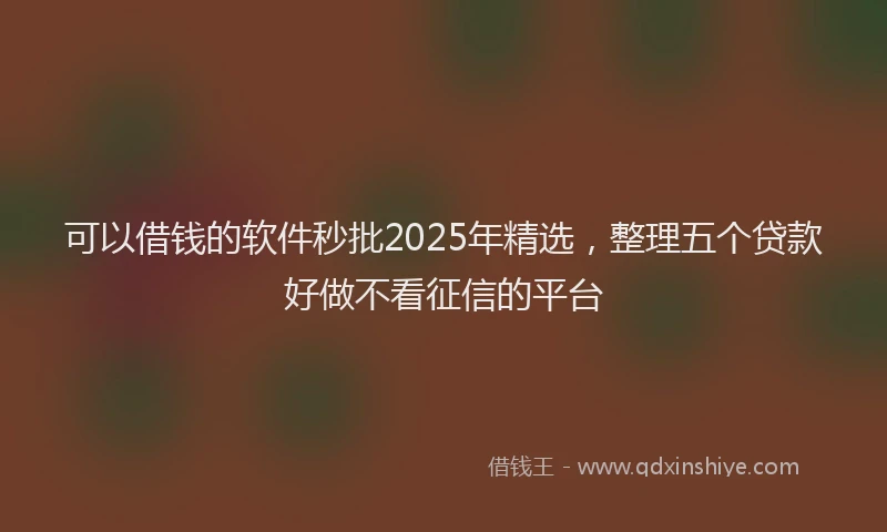 可以借钱的软件秒批2025年精选，整理五个贷款好做不看征信的平台