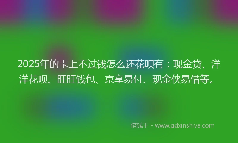 2025年的卡上不过钱怎么还花呗有：现金贷、洋洋花呗、旺旺钱包、京享易付、现金侠易借等。