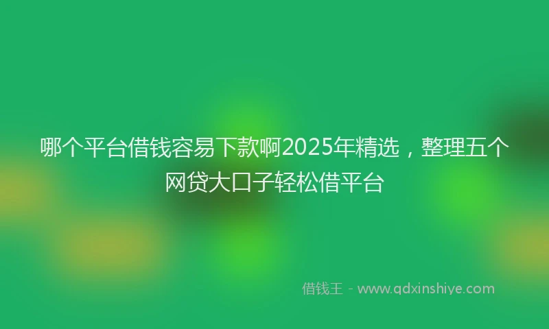 哪个平台借钱容易下款啊2025年精选，整理五个网贷大口子轻松借平台