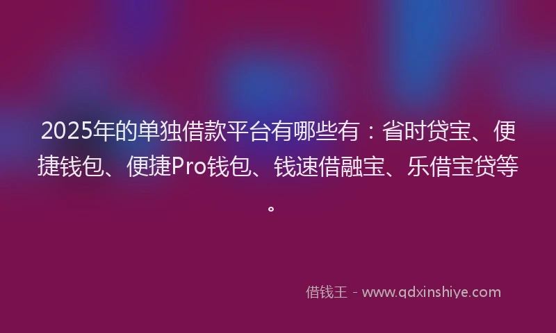 2025年的单独借款平台有哪些有：省时贷宝、便捷钱包、便捷Pro钱包、钱速借融宝、乐借宝贷等。