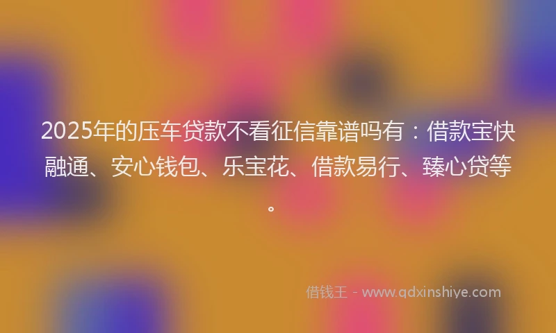 2025年的压车贷款不看征信靠谱吗有：借款宝快融通、安心钱包、乐宝花、借款易行、臻心贷等。