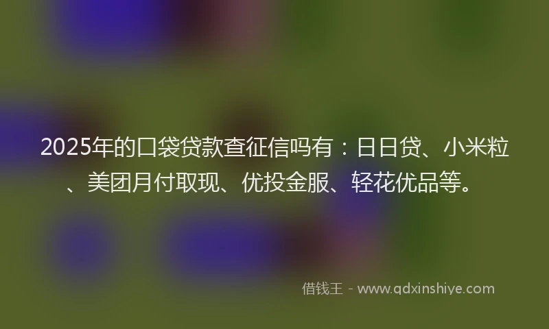 2025年的口袋贷款查征信吗有：日日贷、小米粒、美团月付取现、优投金服、轻花优品等。