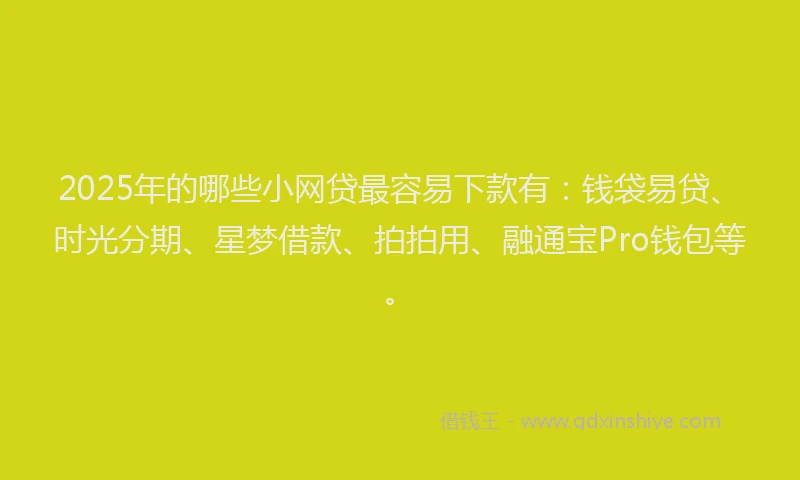 2025年的哪些小网贷最容易下款有：钱袋易贷、时光分期、星梦借款、拍拍用、融通宝Pro钱包等。