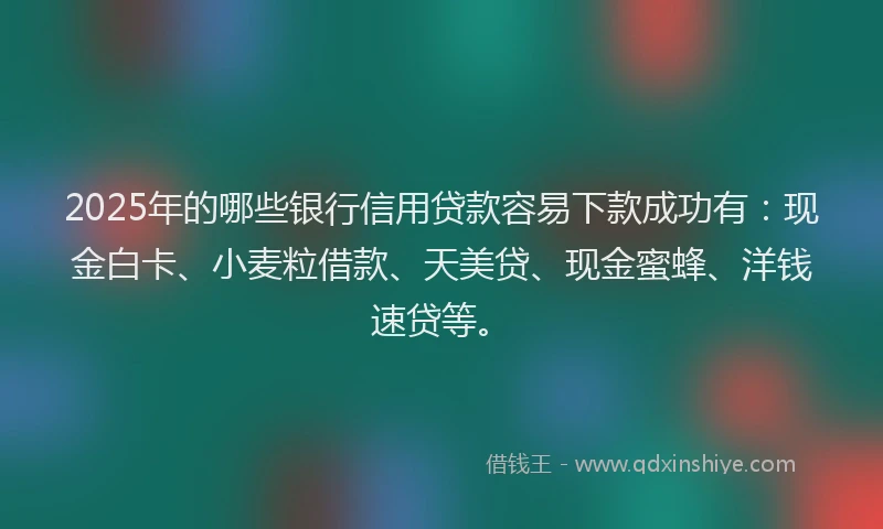 2025年的哪些银行信用贷款容易下款成功有：现金白卡、小麦粒借款、天美贷、现金蜜蜂、洋钱速贷等。