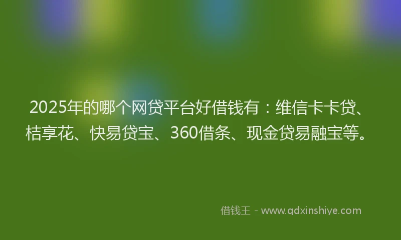 2025年的哪个网贷平台好借钱有：维信卡卡贷、桔享花、快易贷宝、360借条、现金贷易融宝等。