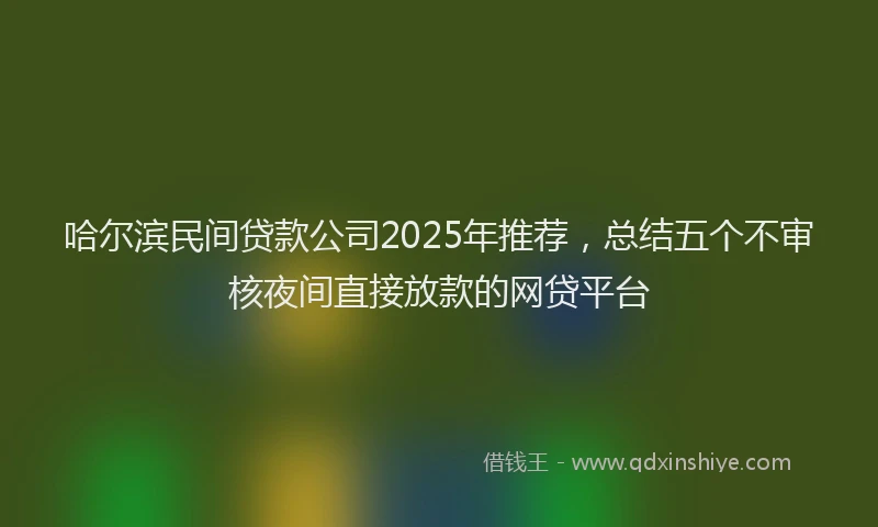 哈尔滨民间贷款公司2025年推荐，总结五个不审核夜间直接放款的网贷平台