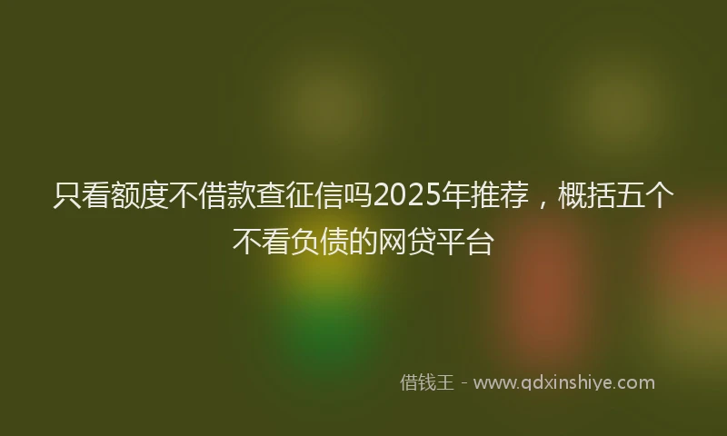 只看额度不借款查征信吗2025年推荐，概括五个不看负债的网贷平台