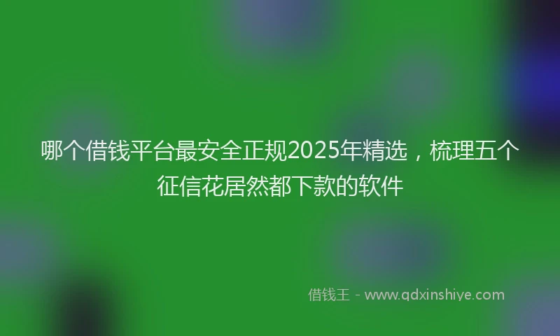 哪个借钱平台最安全正规2025年精选，梳理五个征信花居然都下款的软件