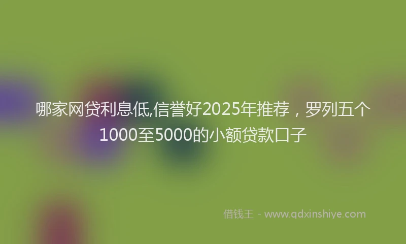哪家网贷利息低,信誉好2025年推荐，罗列五个1000至5000的小额贷款口子