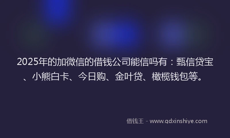 2025年的加微信的借钱公司能信吗有：甄信贷宝、小熊白卡、今日购、金叶贷、橄榄钱包等。