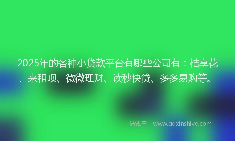 2025年的各种小贷款平台有哪些公司有：桔享花、来租呗、微微理财、读秒快贷、多多易购等。