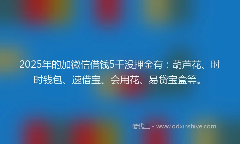 2025年的加微信借钱5千没押金有：葫芦花、时时钱包、速借宝、会用花、易贷宝盒等。