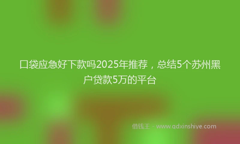 口袋应急好下款吗2025年推荐，总结5个苏州黑户贷款5万的平台