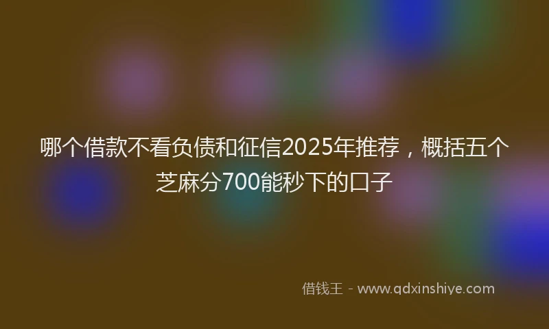 哪个借款不看负债和征信2025年推荐，概括五个芝麻分700能秒下的口子