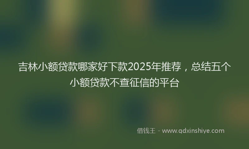 吉林小额贷款哪家好下款2025年推荐，总结五个小额贷款不查征信的平台