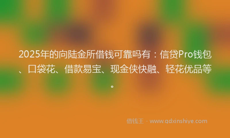 2025年的向陆金所借钱可靠吗有：信贷Pro钱包、口袋花、借款易宝、现金侠快融、轻花优品等。
