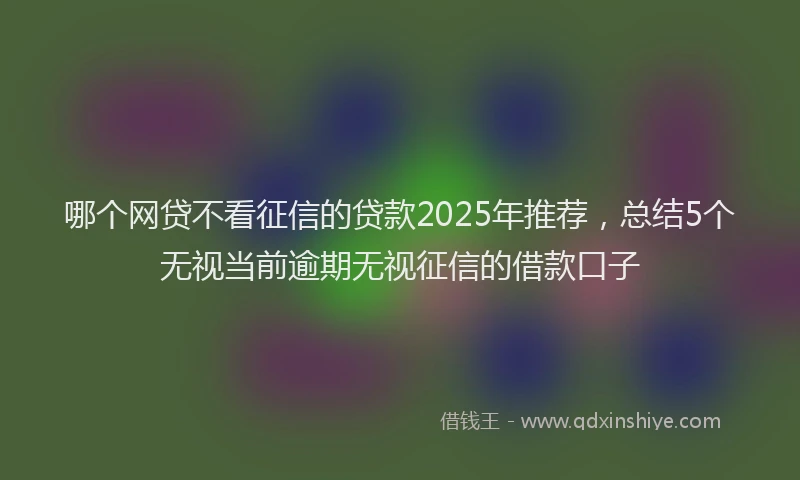 哪个网贷不看征信的贷款2025年推荐，总结5个无视当前逾期无视征信的借款口子