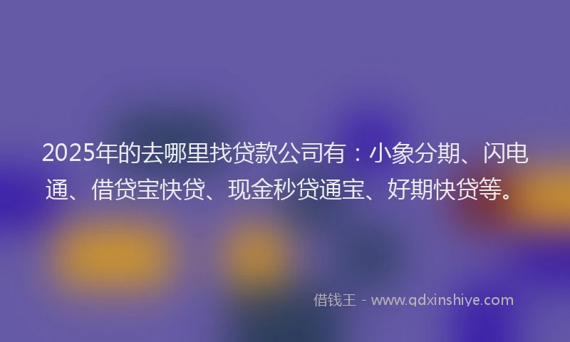 2025年的去哪里找贷款公司有：小象分期、闪电通、借贷宝快贷、现金秒贷通宝、好期快贷等。