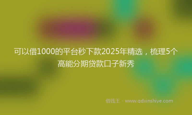 可以借1000的平台秒下款2025年精选，梳理5个高能分期贷款口子新秀