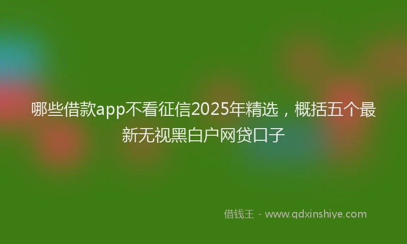 哪些借款app不看征信2025年精选，概括五个最新无视黑白户网贷口子