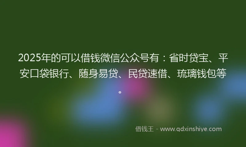 2025年的可以借钱微信公众号有：省时贷宝、平安口袋银行、随身易贷、民贷速借、琉璃钱包等。