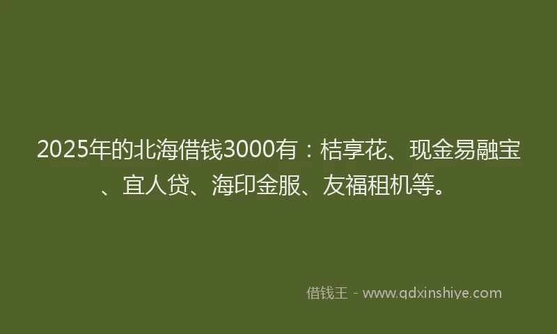 2025年的北海借钱3000有：桔享花、现金易融宝、宜人贷、海印金服、友福租机等。