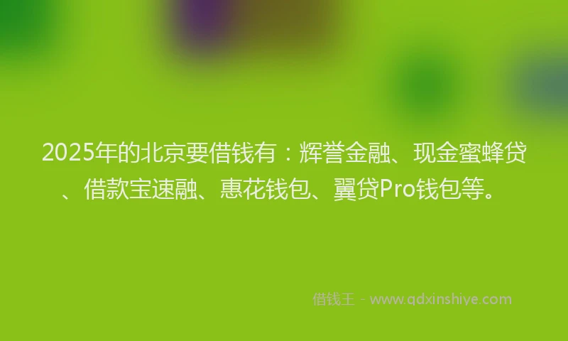 2025年的北京要借钱有：辉誉金融、现金蜜蜂贷、借款宝速融、惠花钱包、翼贷Pro钱包等。