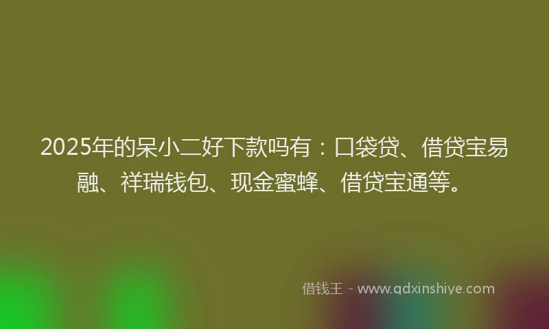 2025年的呆小二好下款吗有：口袋贷、借贷宝易融、祥瑞钱包、现金蜜蜂、借贷宝通等。