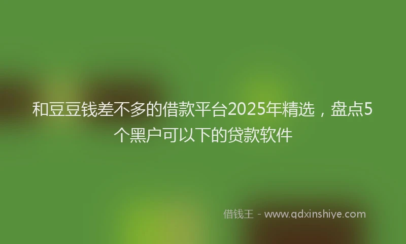 和豆豆钱差不多的借款平台2025年精选，盘点5个黑户可以下的贷款软件