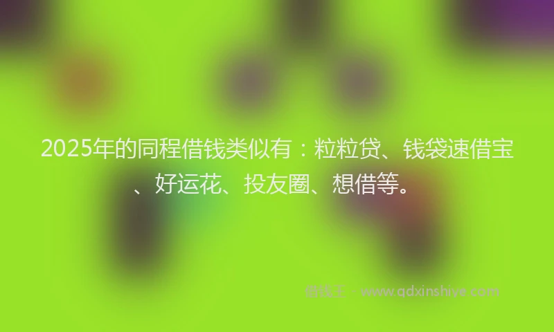 2025年的同程借钱类似有：粒粒贷、钱袋速借宝、好运花、投友圈、想借等。