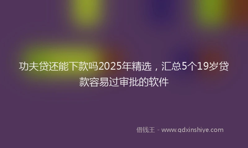 功夫贷还能下款吗2025年精选，汇总5个19岁贷款容易过审批的软件