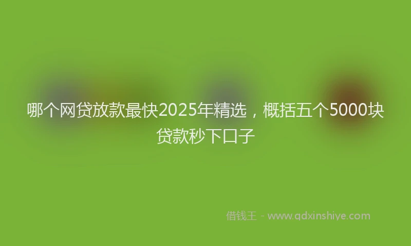 哪个网贷放款最快2025年精选，概括五个5000块贷款秒下口子