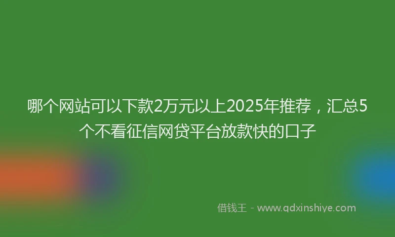 哪个网站可以下款2万元以上2025年推荐，汇总5个不看征信网贷平台放款快的口子