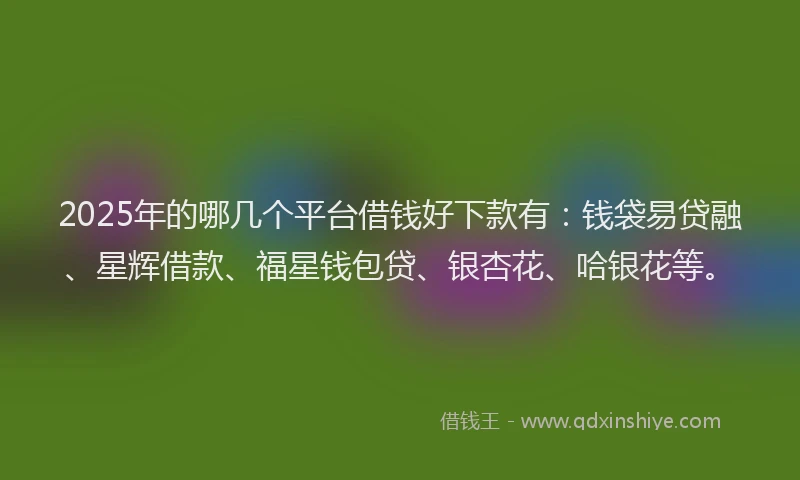 2025年的哪几个平台借钱好下款有：钱袋易贷融、星辉借款、福星钱包贷、银杏花、哈银花等。