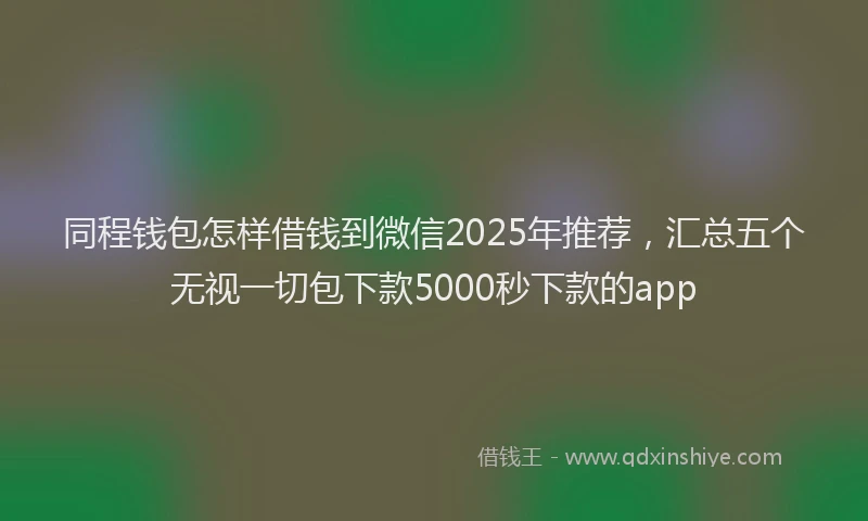 同程钱包怎样借钱到微信2025年推荐，汇总五个无视一切包下款5000秒下款的app