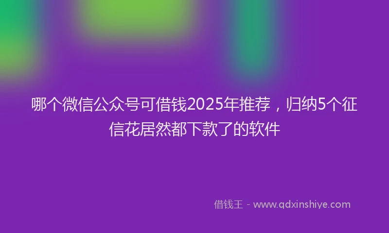 哪个微信公众号可借钱2025年推荐，归纳5个征信花居然都下款了的软件