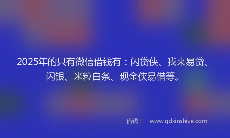 2025年的只有微信借钱有：闪贷侠、我来易贷、闪银、米粒白条、现金侠易借等。