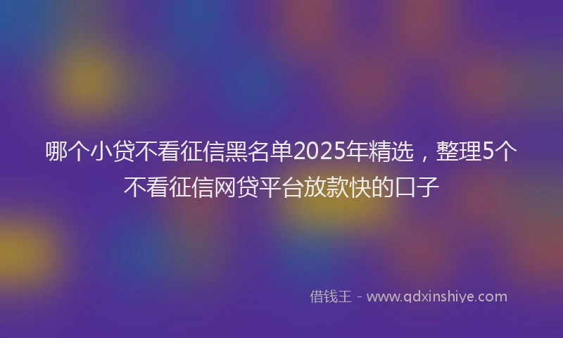 哪个小贷不看征信黑名单2025年精选，整理5个不看征信网贷平台放款快的口子