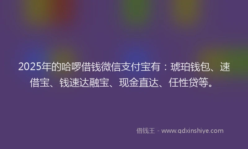 2025年的哈啰借钱微信支付宝有：琥珀钱包、速借宝、钱速达融宝、现金直达、任性贷等。