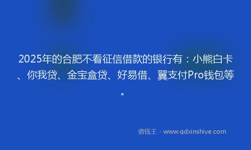 2025年的合肥不看征信借款的银行有：小熊白卡、你我贷、金宝盒贷、好易借、翼支付Pro钱包等。