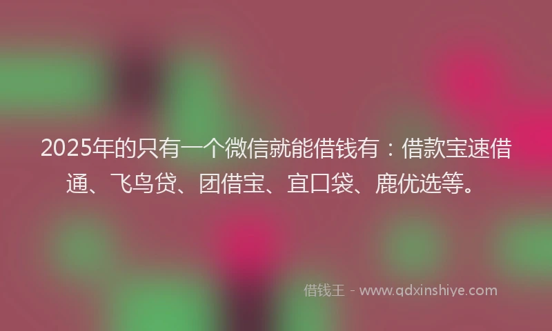 2025年的只有一个微信就能借钱有：借款宝速借通、飞鸟贷、团借宝、宜口袋、鹿优选等。