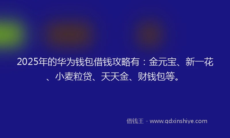 2025年的华为钱包借钱攻略有：金元宝、新一花、小麦粒贷、天天金、财钱包等。