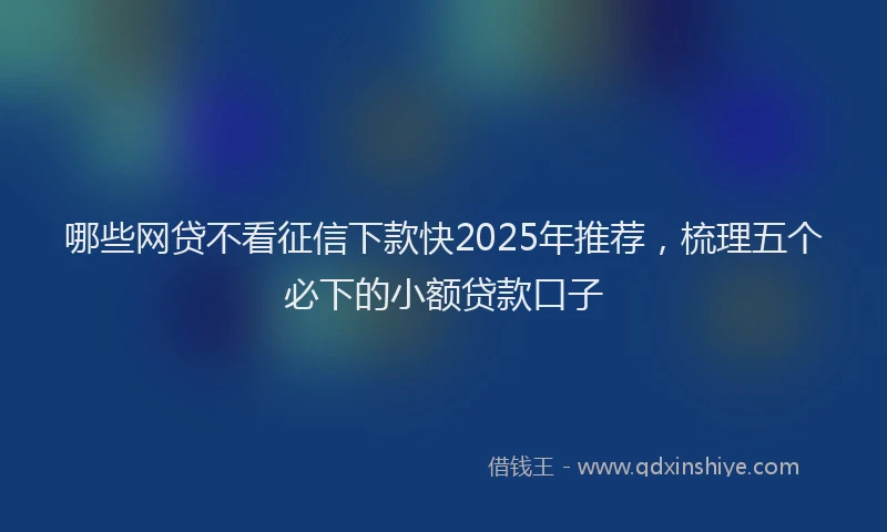 哪些网贷不看征信下款快2025年推荐，梳理五个必下的小额贷款口子