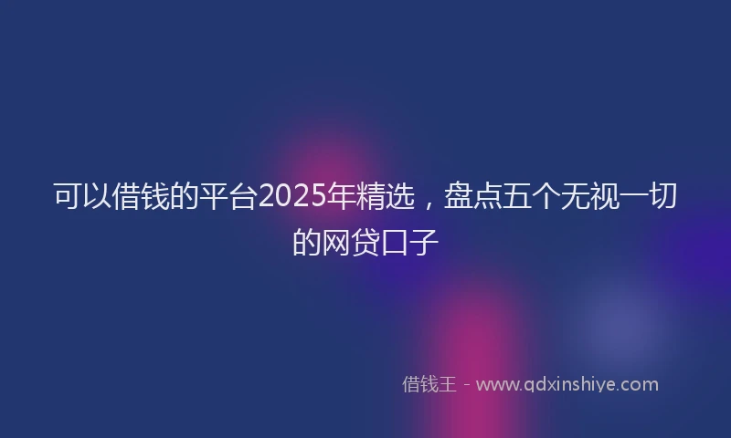 可以借钱的平台2025年精选，盘点五个无视一切的网贷口子