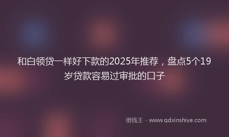 和白领贷一样好下款的2025年推荐，盘点5个19岁贷款容易过审批的口子
