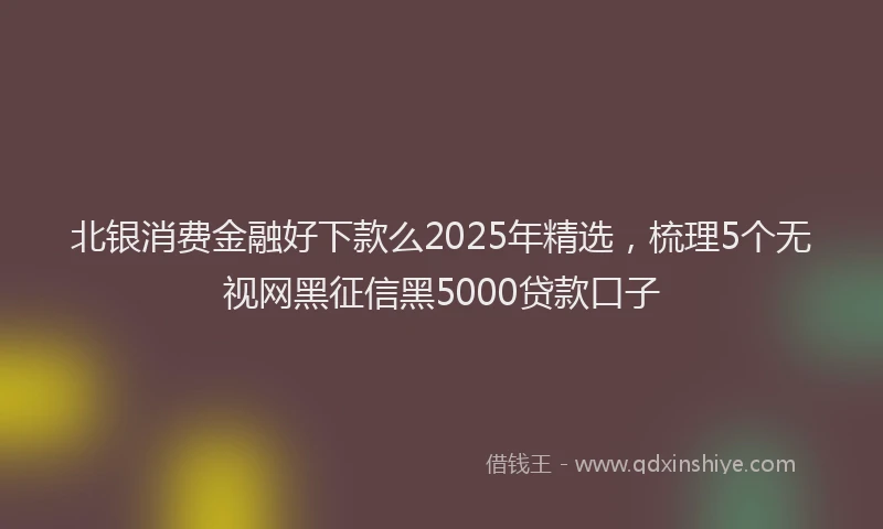 北银消费金融好下款么2025年精选，梳理5个无视网黑征信黑5000贷款口子